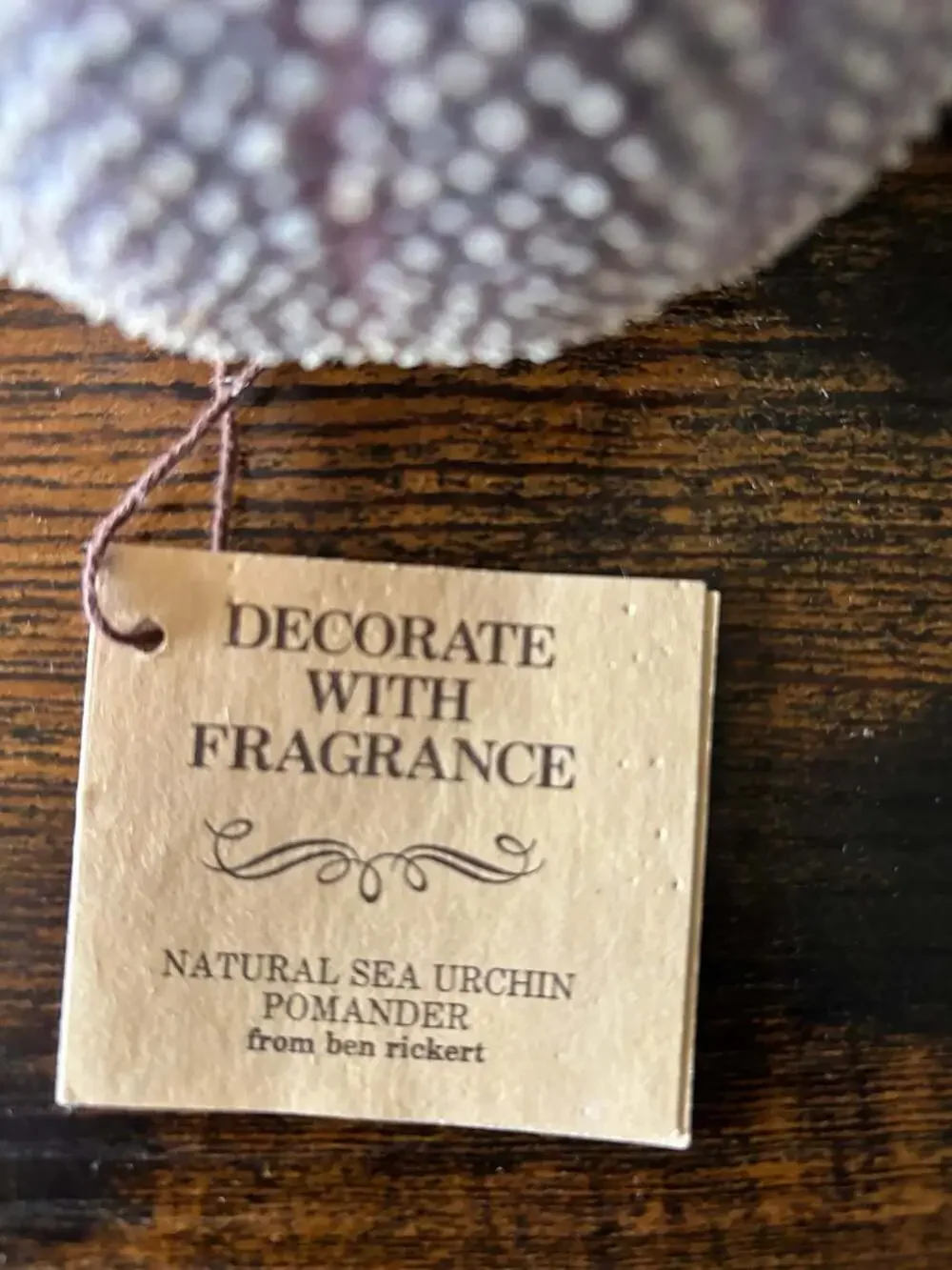 Vintage Ben Rickert Natural Sea Urchin Pomander Fragrance Decor - Picture 3 of 4